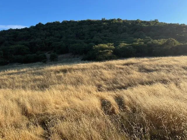 Pine Canyon Road King City, CA 93930