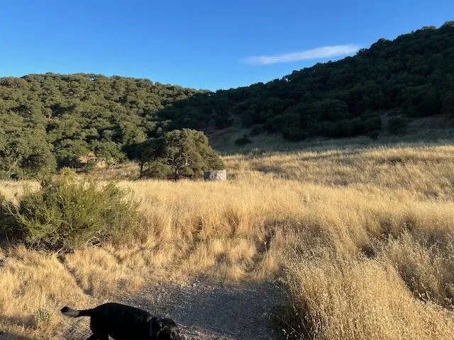 Pine Canyon Road King City, CA 93930