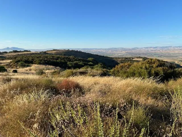 Pine Canyon Road King City, CA 93930