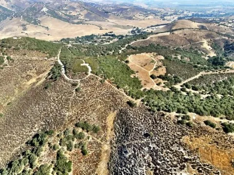 Pine Canyon Road