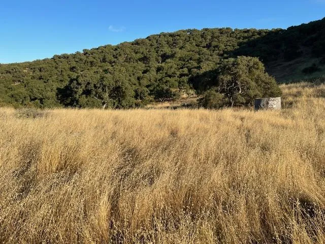 Pine Canyon Road King City, CA 93930