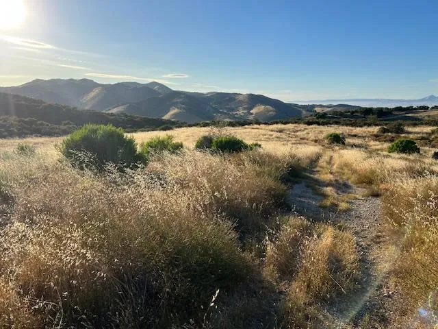 Pine Canyon Road King City, CA 93930
