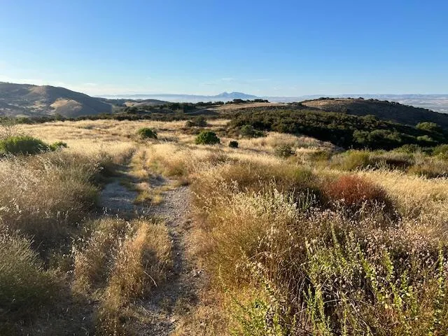 Pine Canyon Road King City, CA 93930