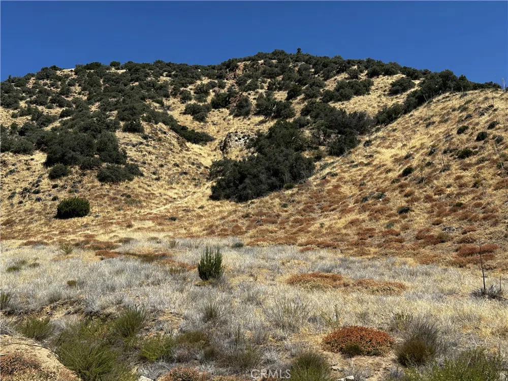 6 Chimney Canyon Road Lebec, CA 93243
