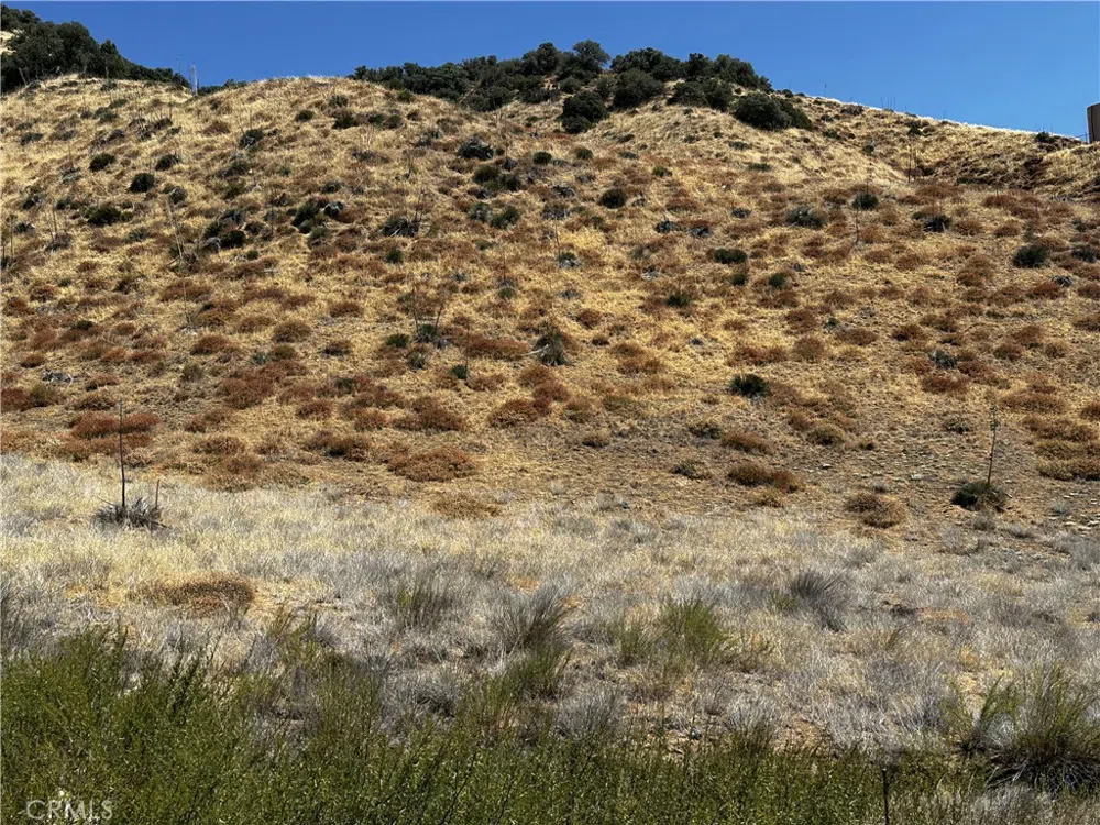 6 Chimney Canyon Road Lebec, CA 93243