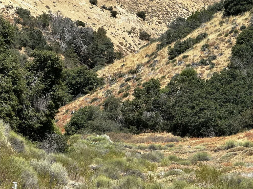6 Chimney Canyon Road Lebec, CA 93243