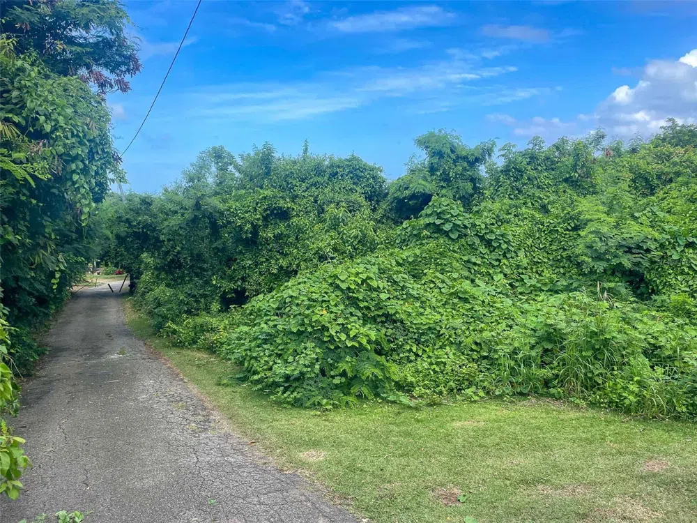 30 CALLE ALTA Vieques, PR 00765