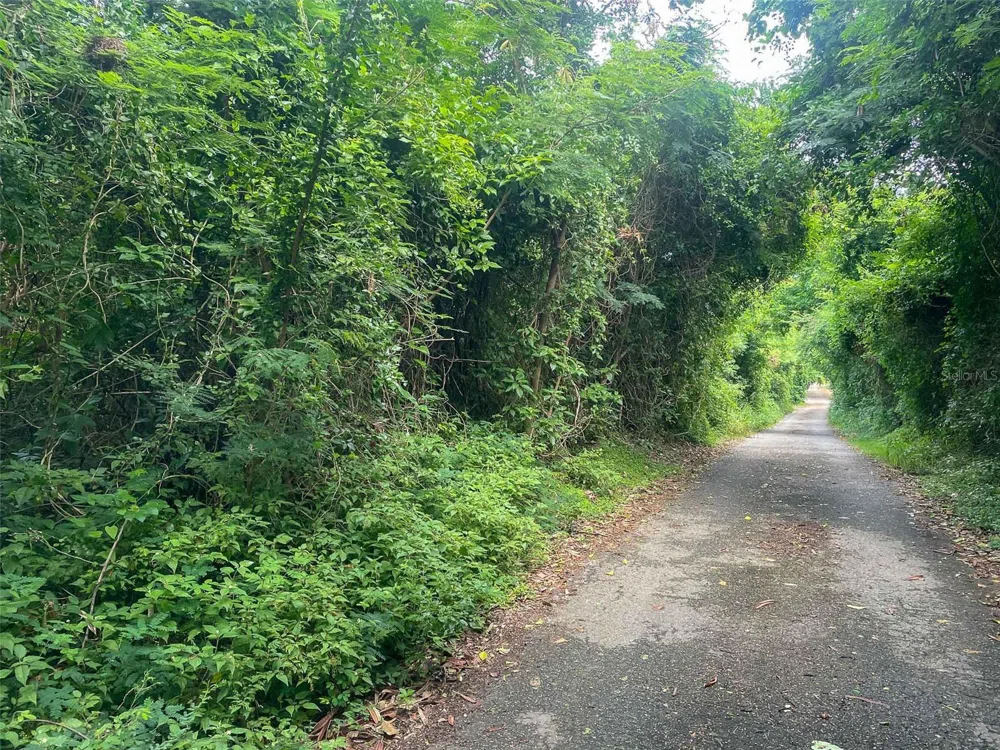 30 CALLE ALTA Vieques, PR 00765