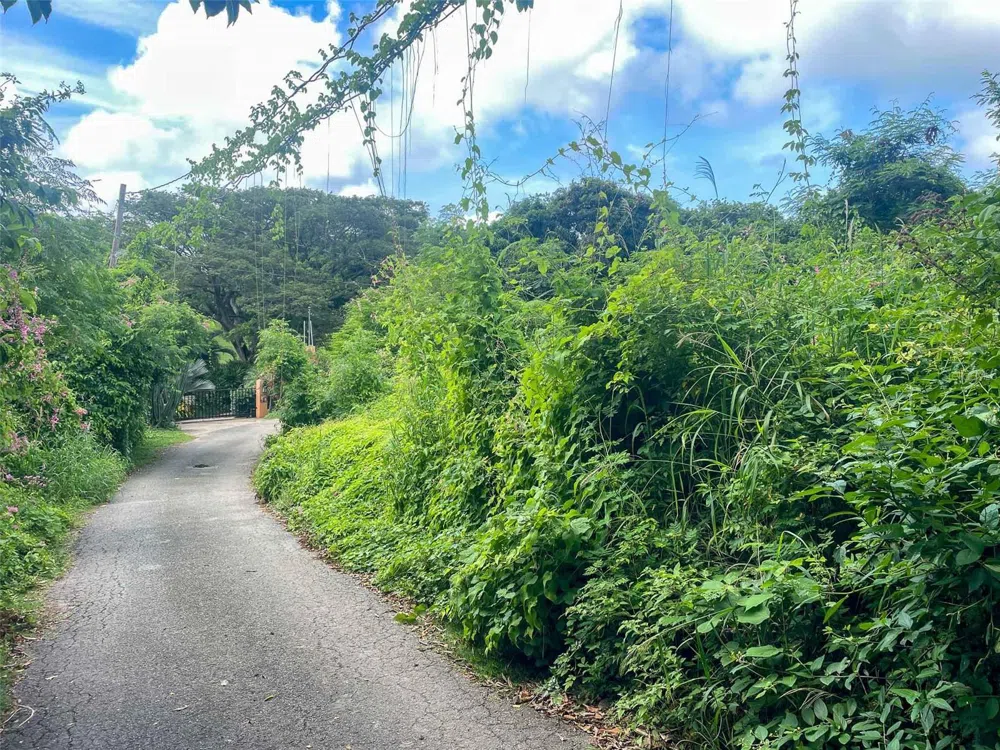 30 CALLE ALTA Vieques, PR 00765