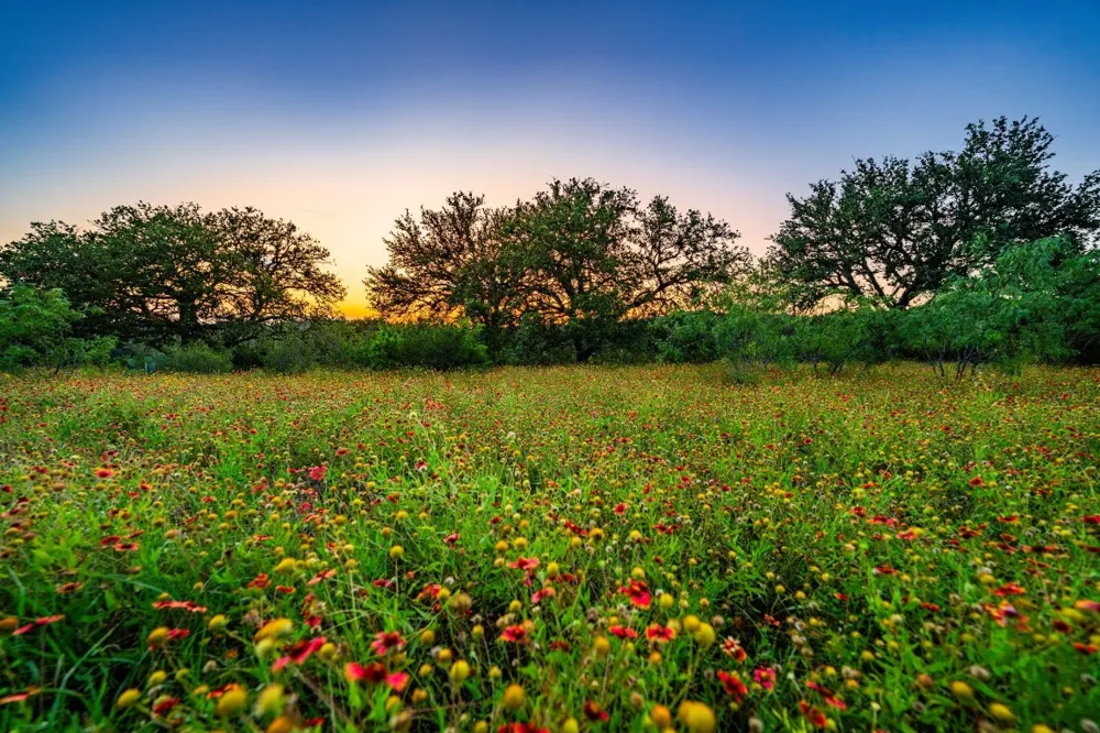 9738 E FM 1431 Marble Falls, TX 78654