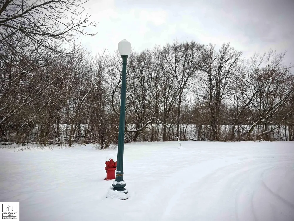 10294 Carriage Way Davison Township, MI 48423