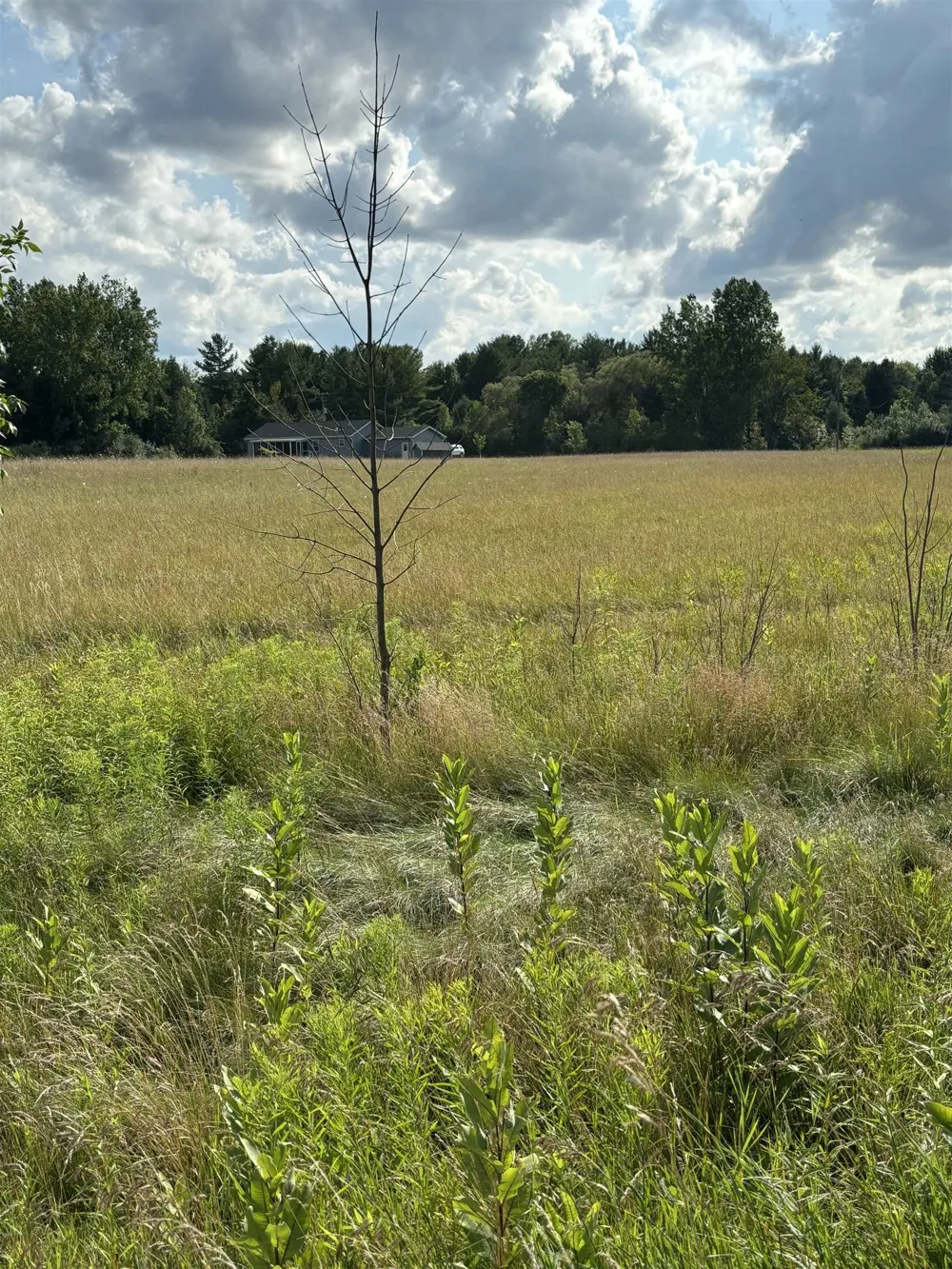 Shepherd Road Mt Pleasant City, MI 48858