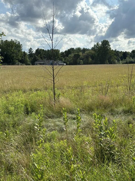 Shepherd Road Mt Pleasant City, MI 48858