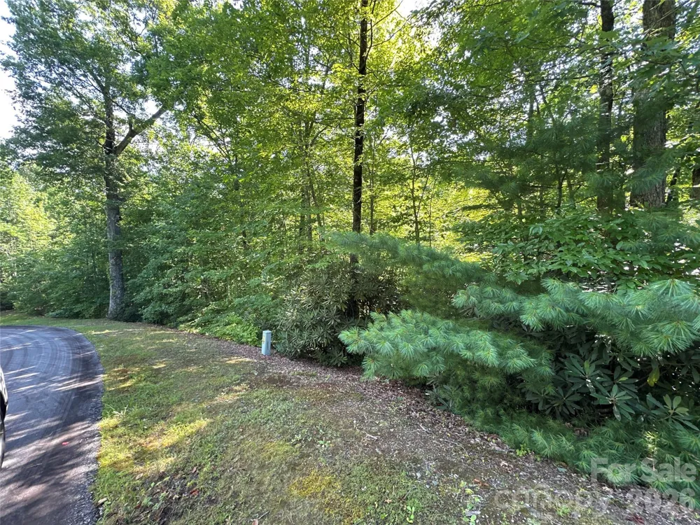 67 Peppervine Circle Rosman, NC 28772