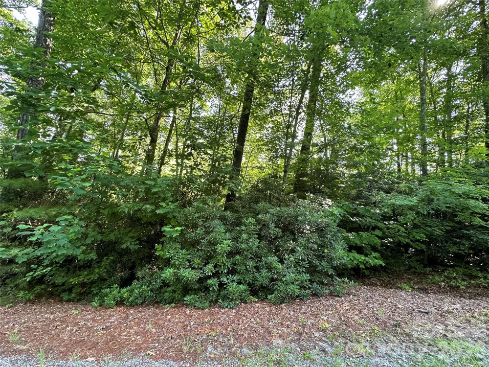 67 Peppervine Circle Rosman, NC 28772