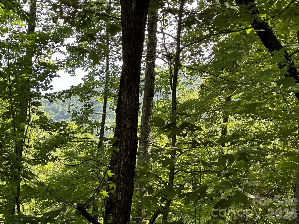 67 Peppervine Circle Rosman, NC 28772