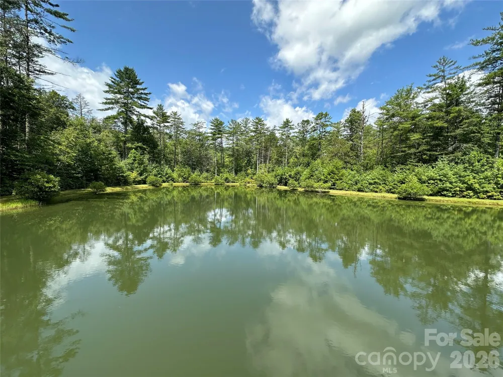 67 Peppervine Circle Rosman, NC 28772
