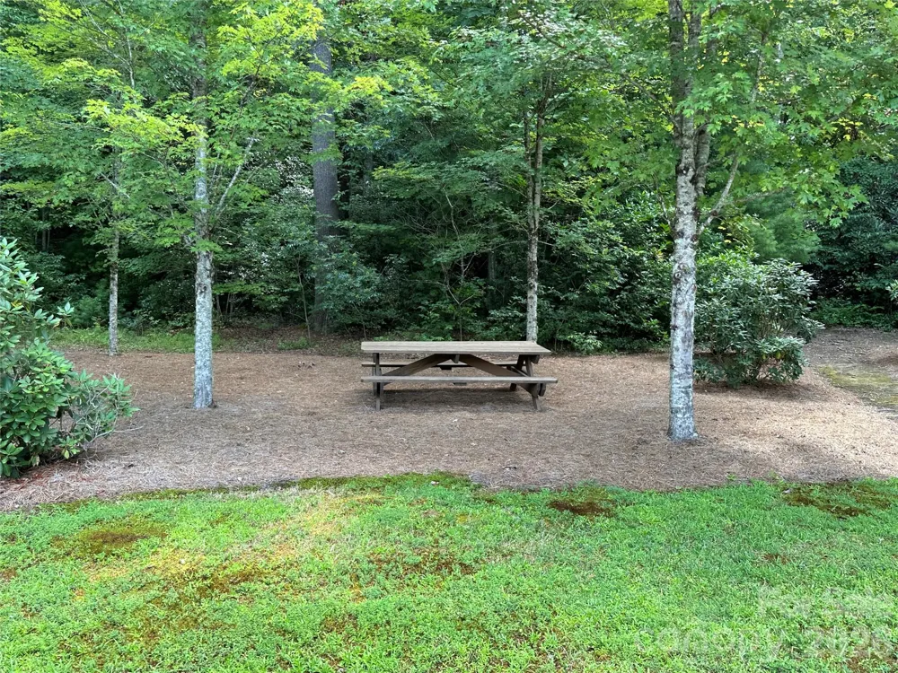 67 Peppervine Circle Rosman, NC 28772
