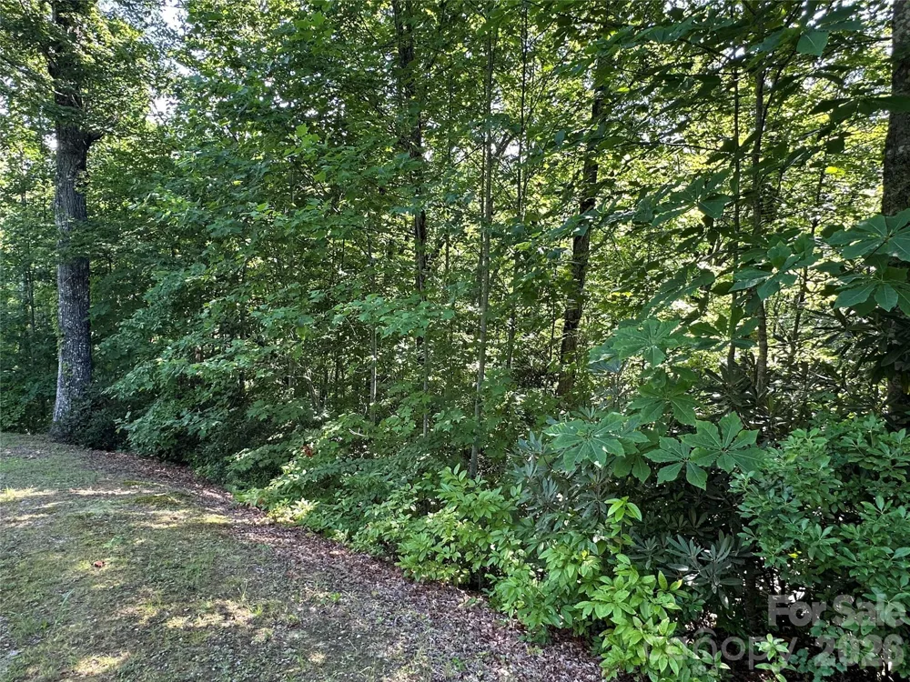 67 Peppervine Circle Rosman, NC 28772