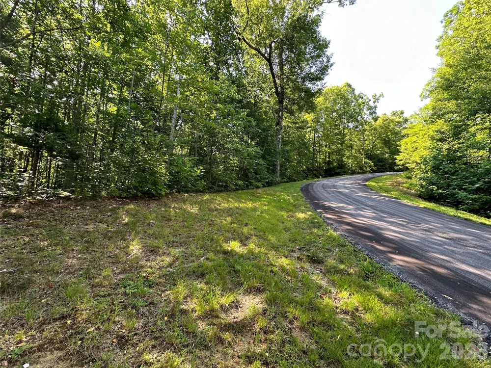 67 Peppervine Circle Rosman, NC 28772