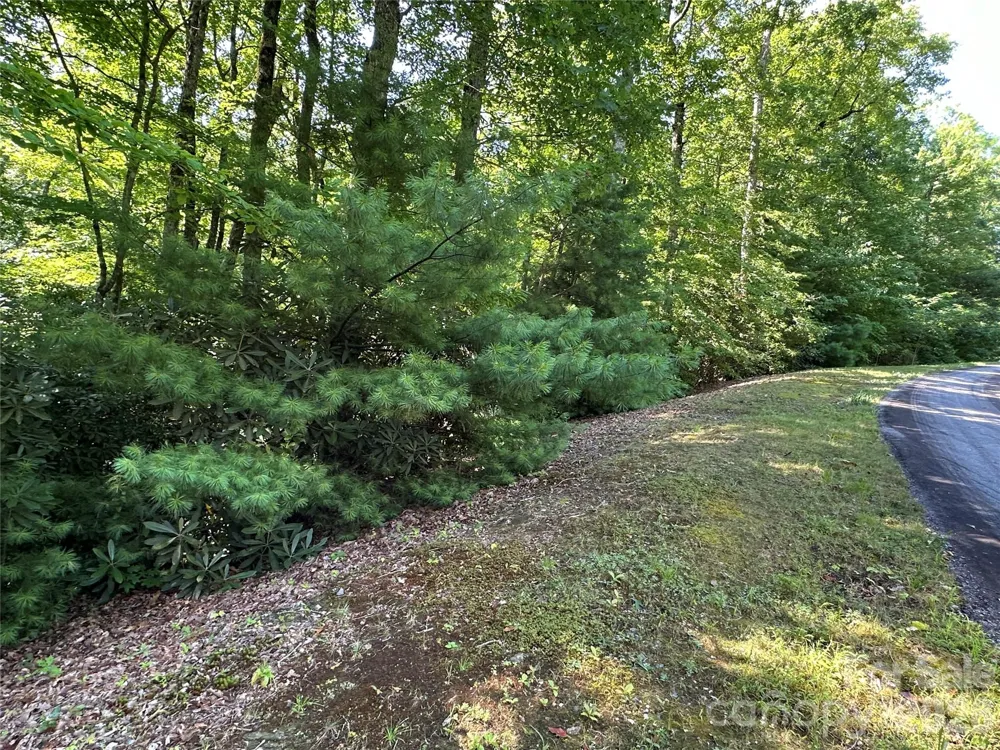 67 Peppervine Circle Rosman, NC 28772