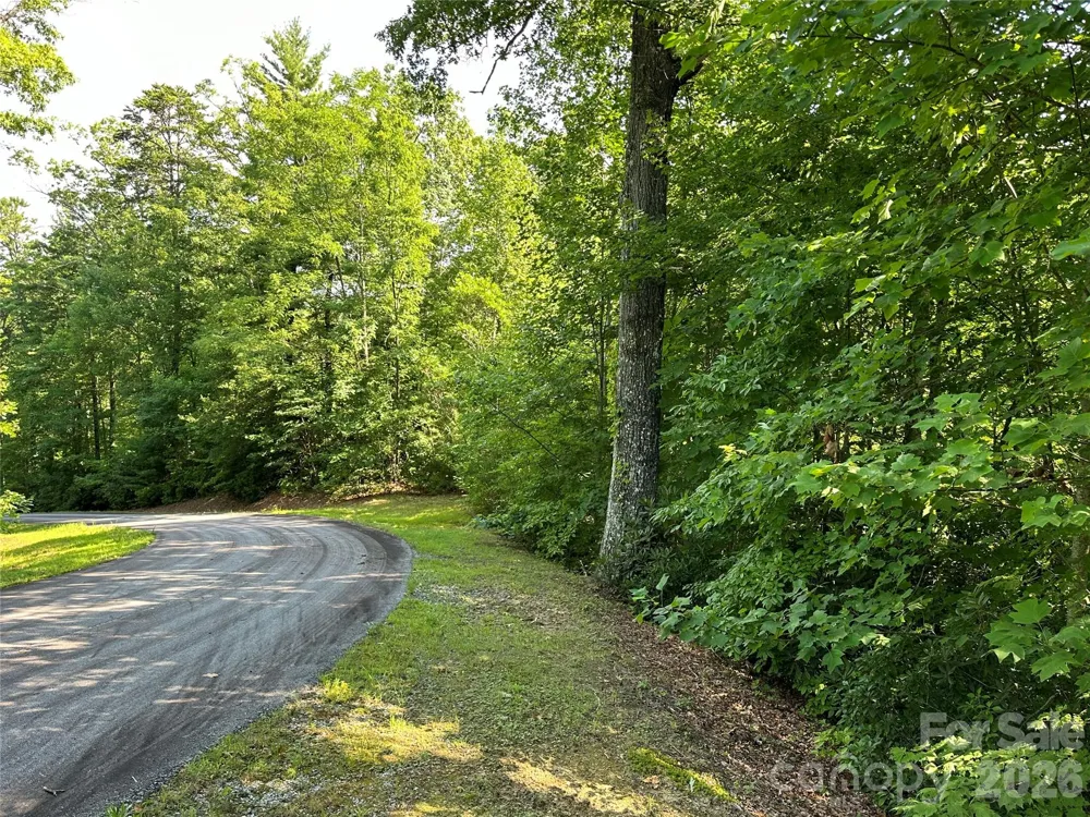 67 Peppervine Circle Rosman, NC 28772