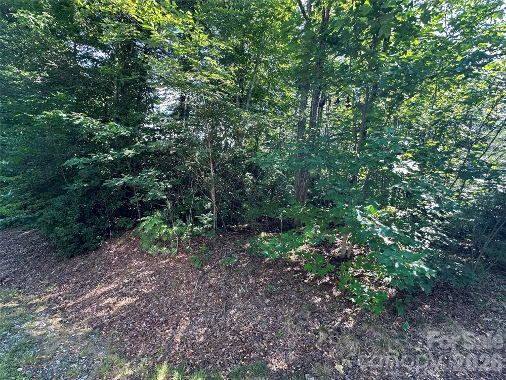67 Peppervine Circle Rosman, NC 28772