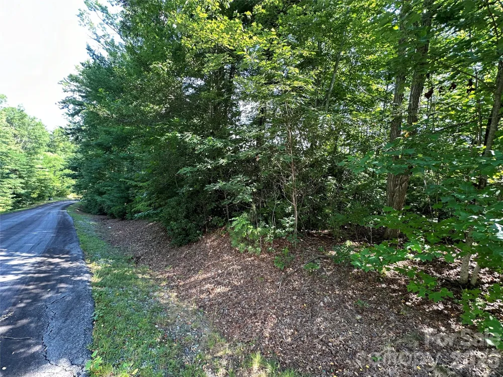 67 Peppervine Circle Rosman, NC 28772