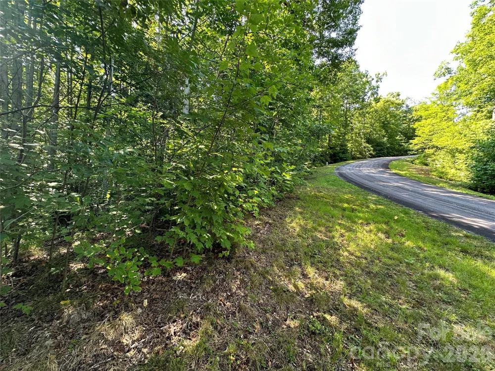 67 Peppervine Circle Rosman, NC 28772