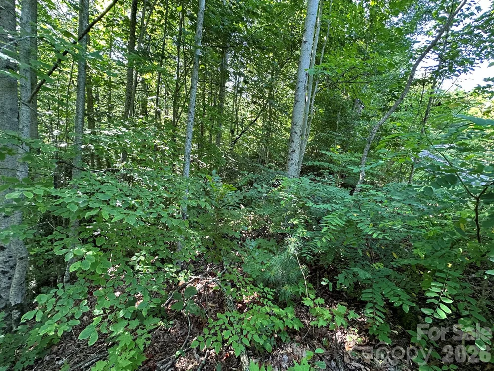 67 Peppervine Circle Rosman, NC 28772