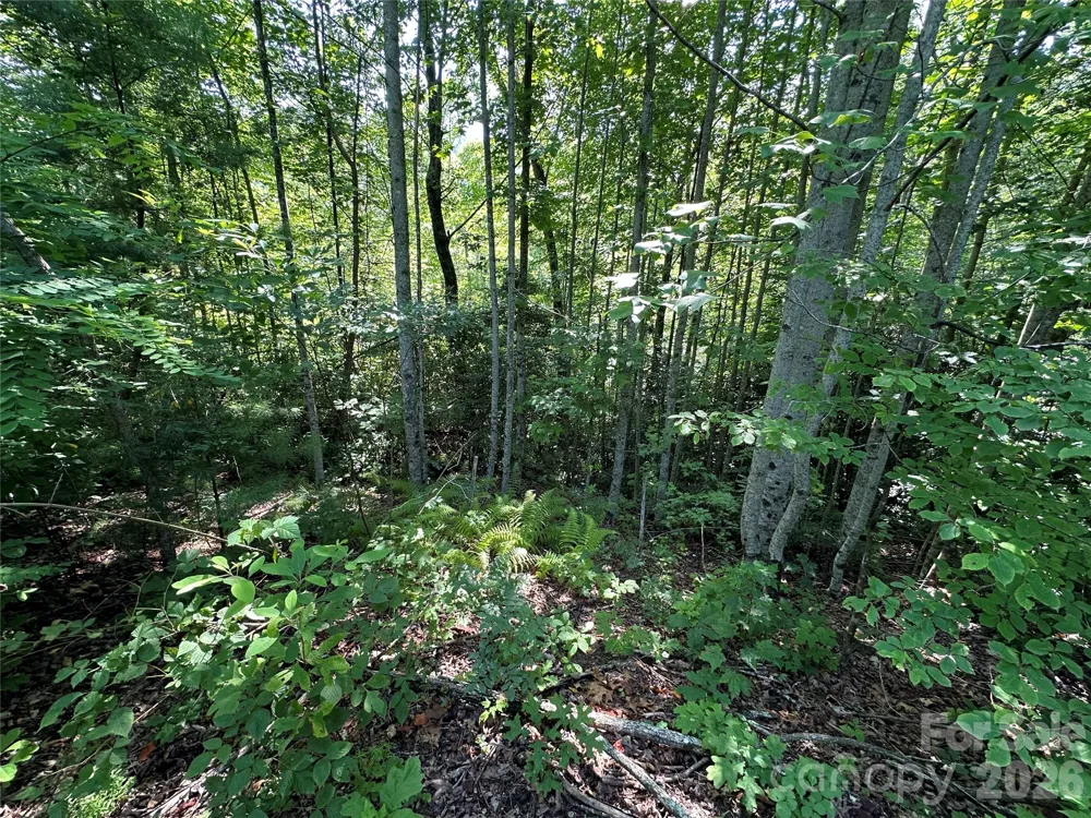 67 Peppervine Circle Rosman, NC 28772