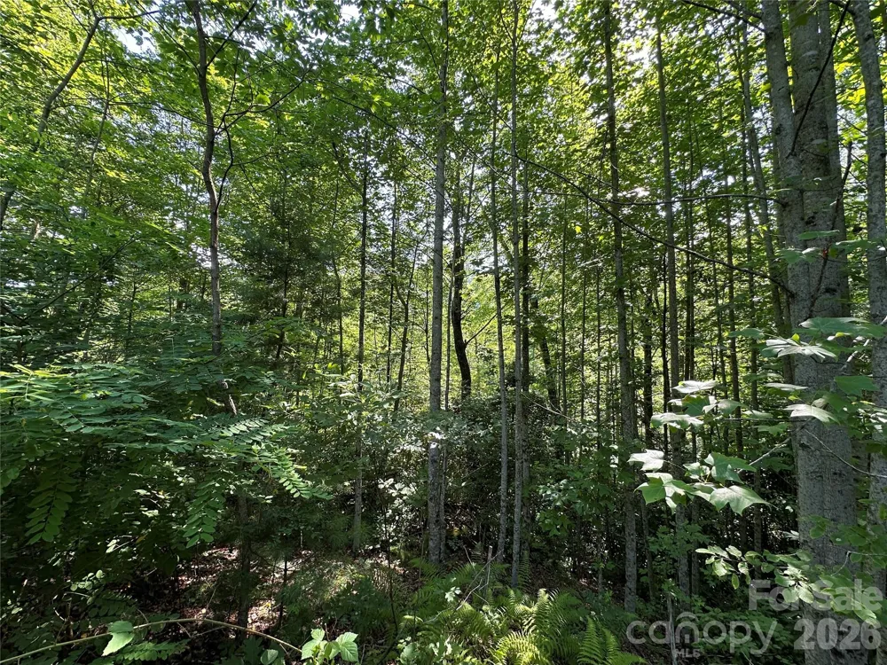 67 Peppervine Circle Rosman, NC 28772