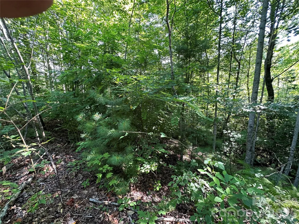 67 Peppervine Circle Rosman, NC 28772
