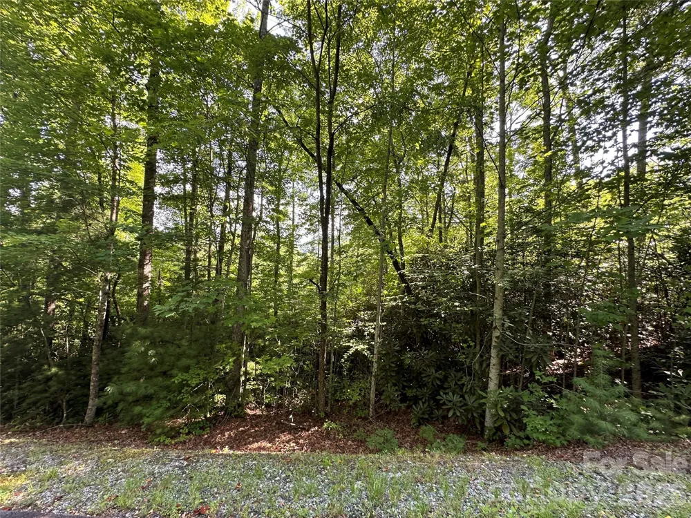 67 Peppervine Circle Rosman, NC 28772
