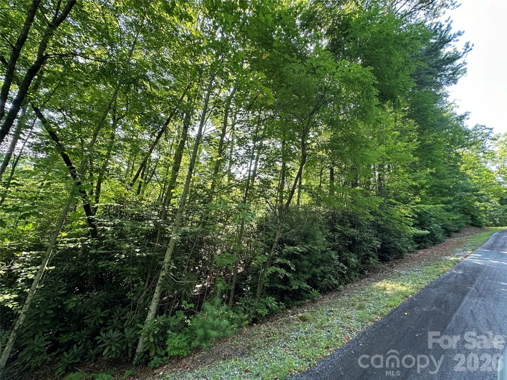 67 Peppervine Circle Rosman, NC 28772