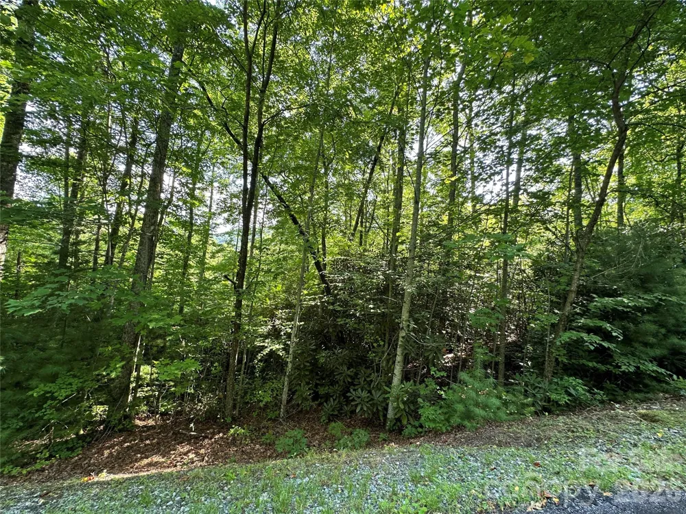 67 Peppervine Circle Rosman, NC 28772