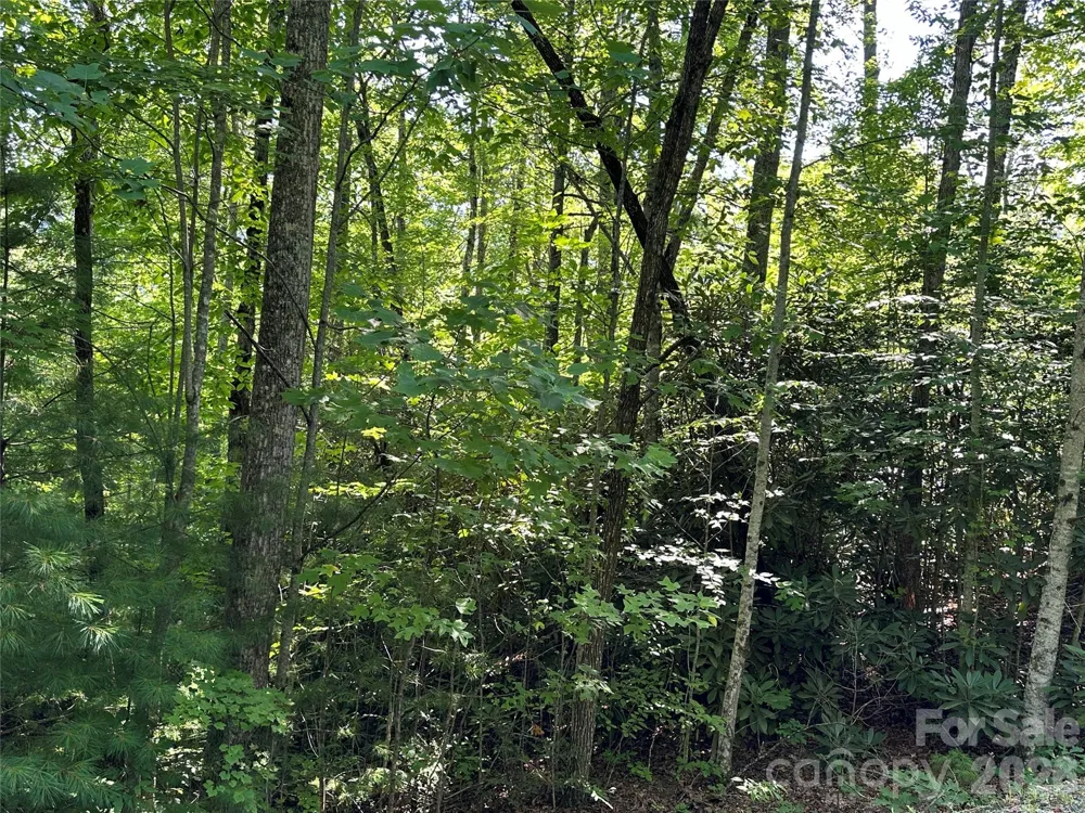 67 Peppervine Circle Rosman, NC 28772