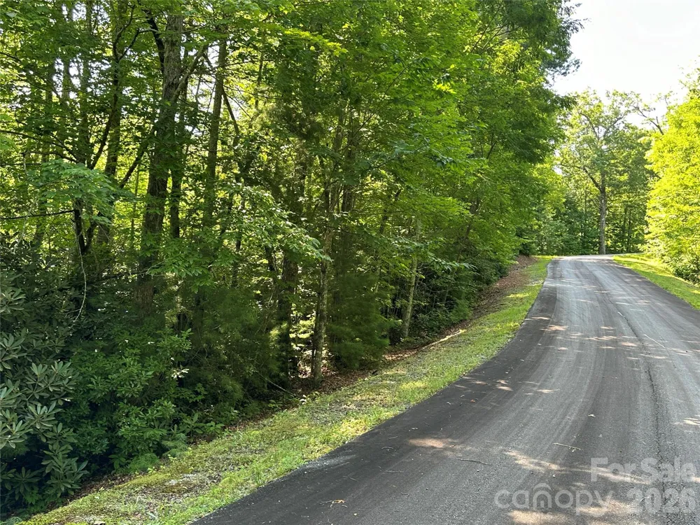 67 Peppervine Circle Rosman, NC 28772