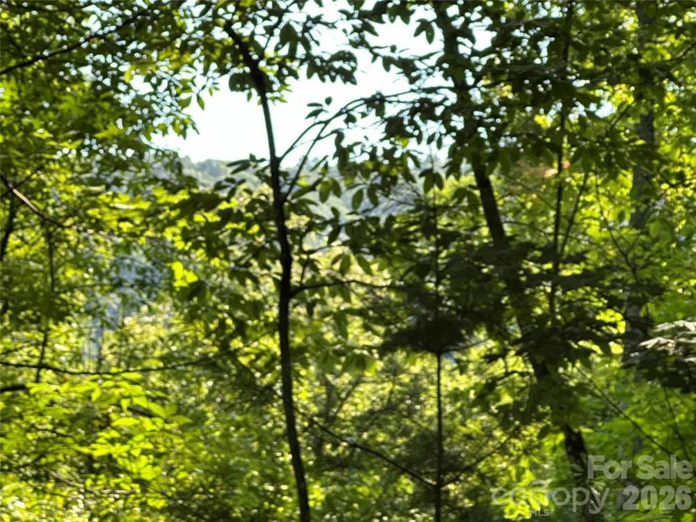 67 Peppervine Circle Rosman, NC 28772