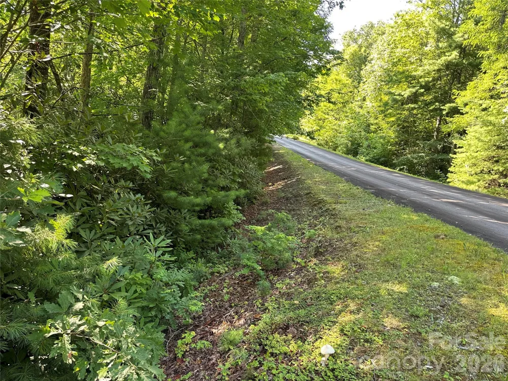 67 Peppervine Circle Rosman, NC 28772