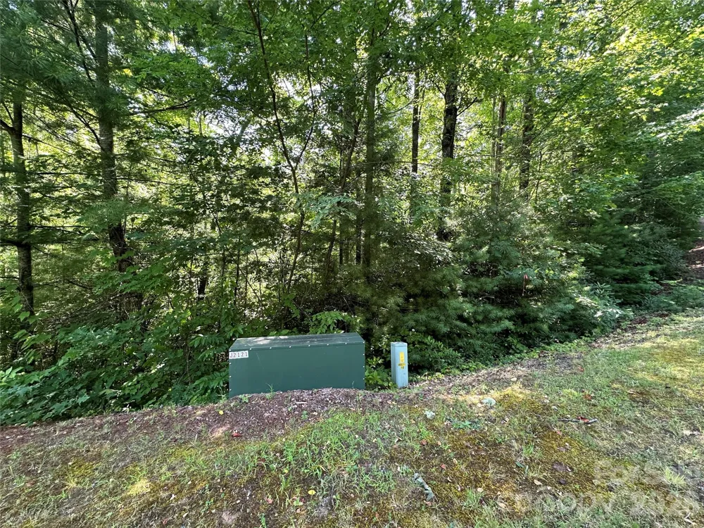 67 Peppervine Circle Rosman, NC 28772
