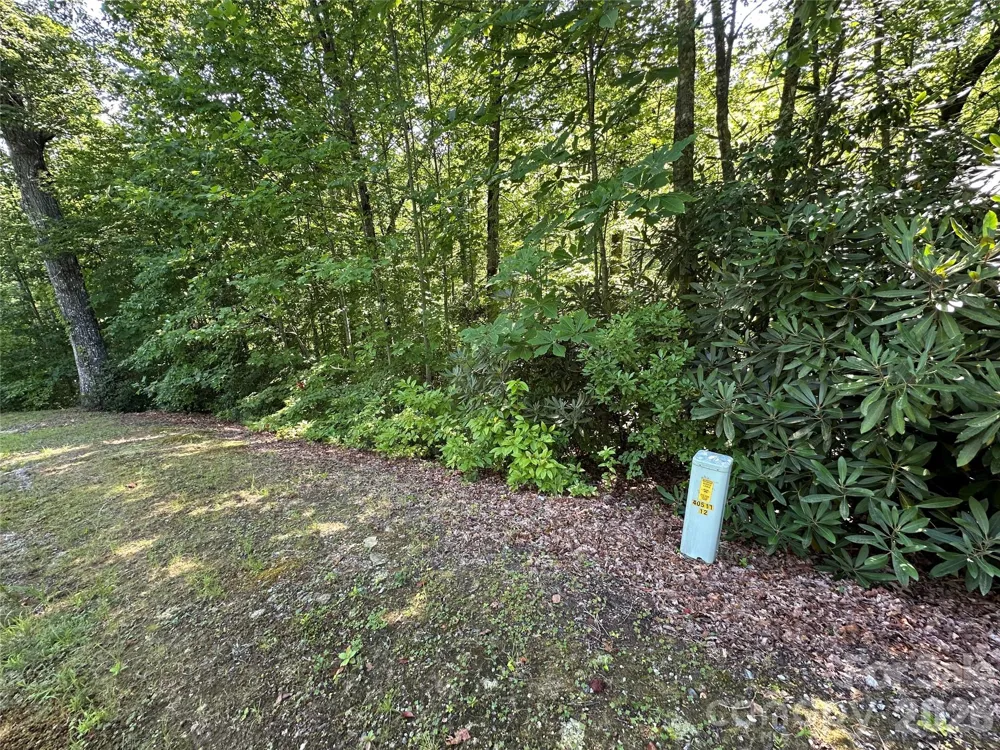 67 Peppervine Circle Rosman, NC 28772