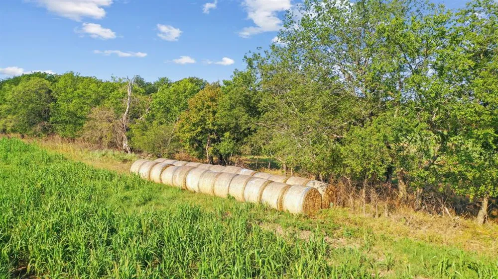 2296 County Road 290 Dublin, TX 76446