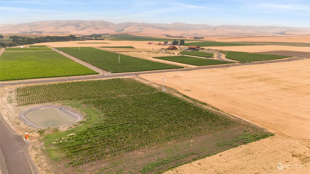 0 Lot 16 Stolen Horse Court Walla Walla, WA 99362