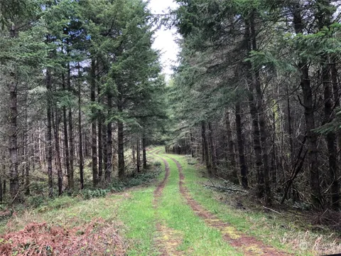 217 XX Thompson Creek Road
