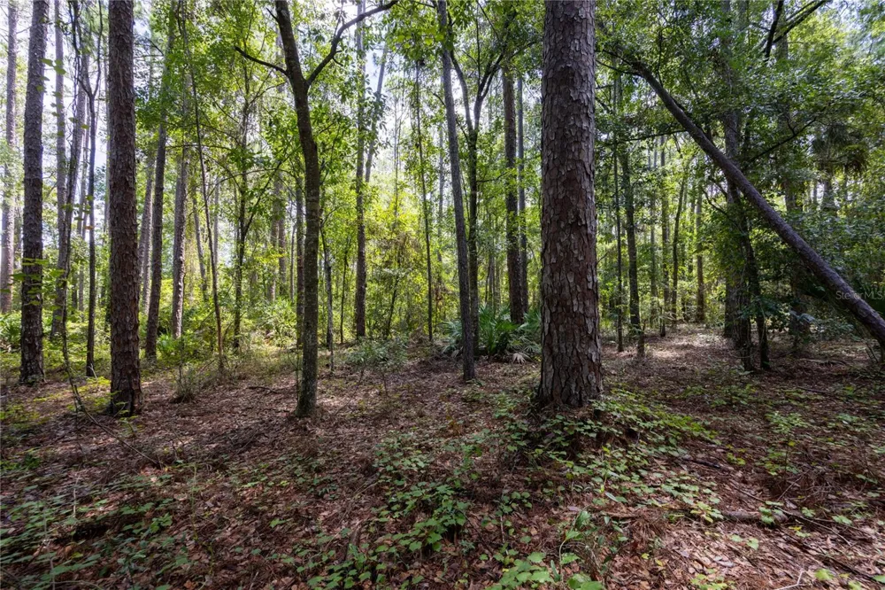 0 SE HAWTHORNE ROAD Hawthorne, FL 32640