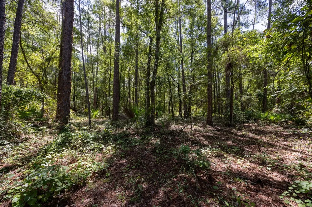 0 SE HAWTHORNE ROAD Hawthorne, FL 32640