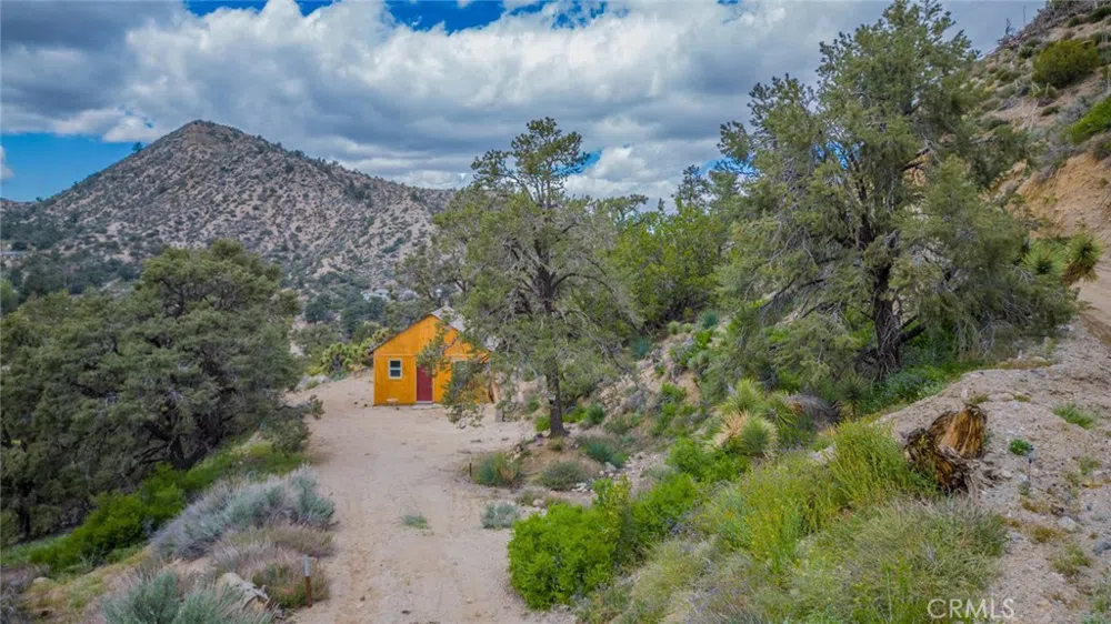 7725 Scenic Drive Pinon Hills, CA 92372