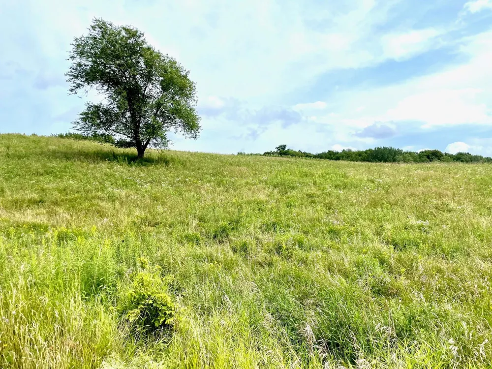 Pt Lot 1 CSM 2811 Amber View Street Menomonie, WI 54751