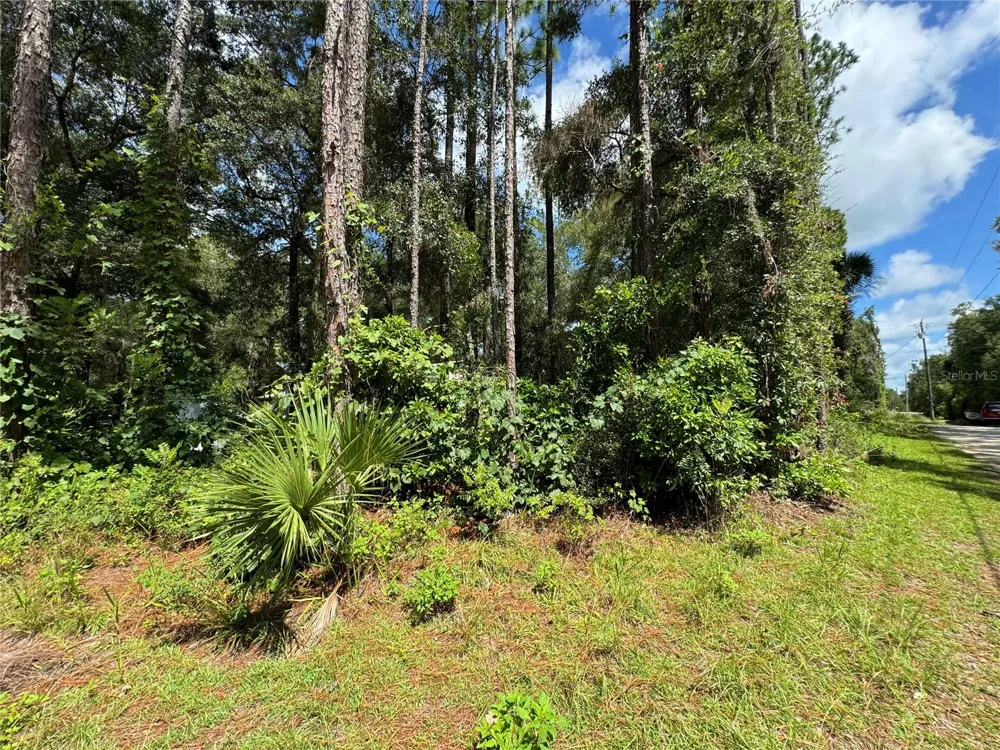 NW 58TH PLACE Chiefland, FL 32626